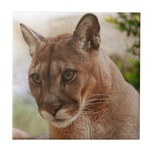 Kijk eens naar dat gezichtspunt tegeltje (Voorkant)