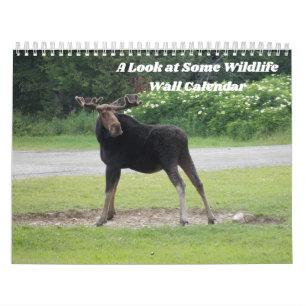 Kijk eens naar een Wildlife Wall Agenda Kalender