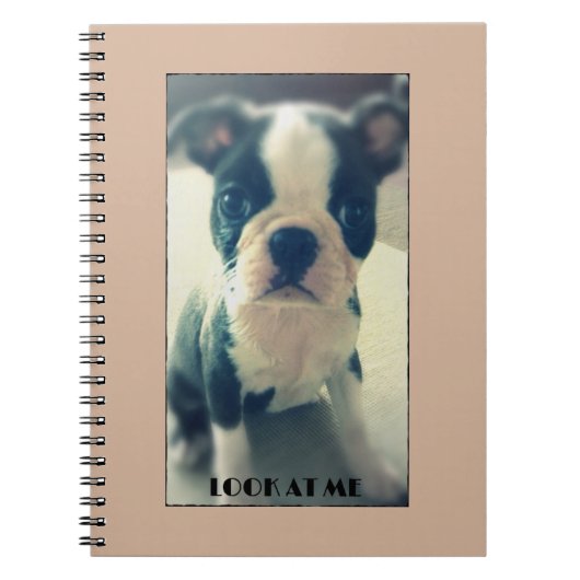 Kijk eens naar me Cute dog notebook Notitieboek (Voorkant)