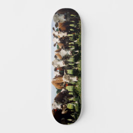 Kijk hier Cowabunga Skateboard