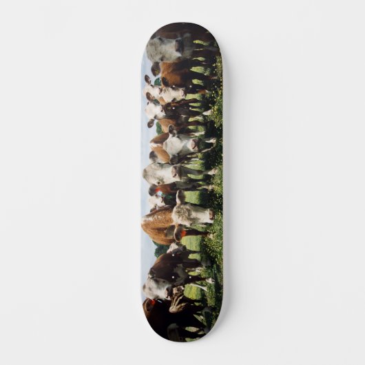 Kijk hier Cowabunga Skateboard (Voorkant)