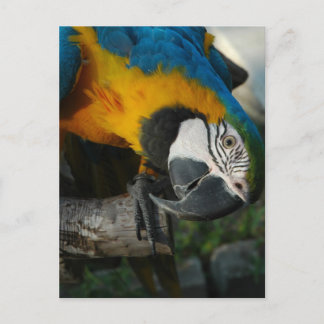 Kijk hier naar jou briefkaart