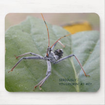 Kijk je echt naar me?