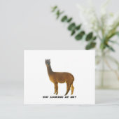 Kijk je naar me? briefkaart (Staand voorkant)