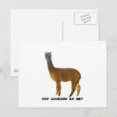 Kijk je naar me? briefkaart (Voorkant / Achterkant)