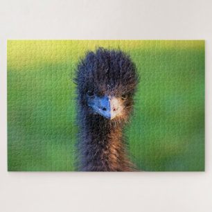 Kijk je naar me? - Emu Jigzaag Puzzle - 20x30 Legpuzzel