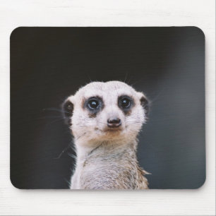 Kijk je naar me? Meerkat Mousepad Muismat