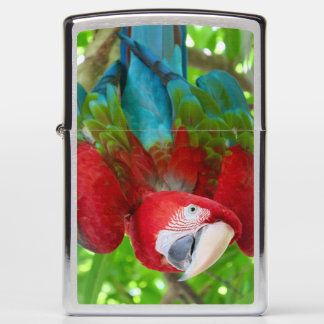 Kijk je naar mij????