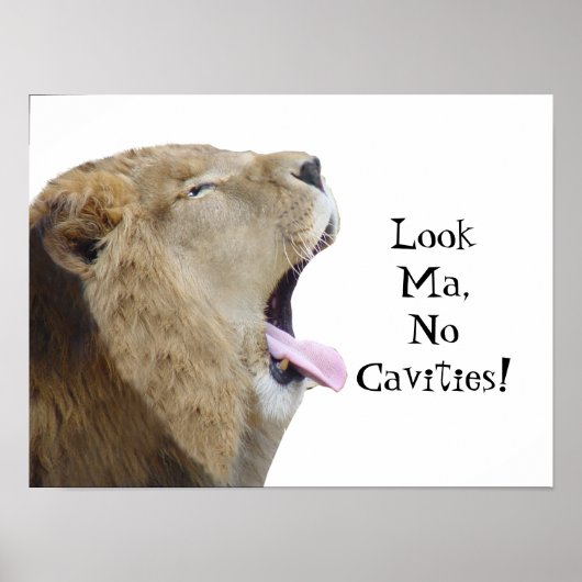 Kijk Ma, geen holtes. Lion Poster Print (Voorkant)