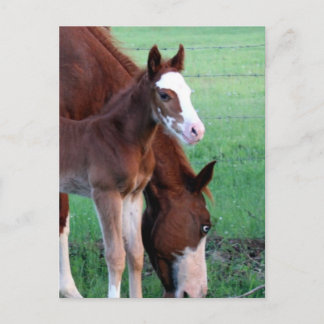 Kijk me aan. briefkaart