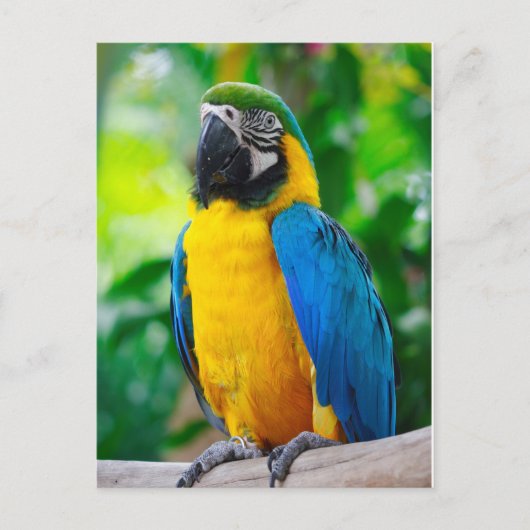 Kijk me aan briefkaart (Voorkant)