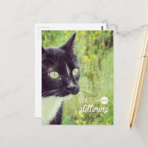 Kijk met Glanzende Ogen Kat Briefkaart