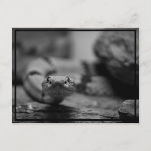 Kijk naar je! briefkaart