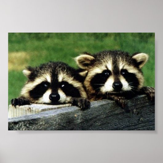 kijk naar je poster (Voorkant)