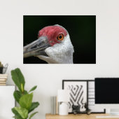 Kijk naar je [Sandhill Crane] Poster (Thuiskantoor)