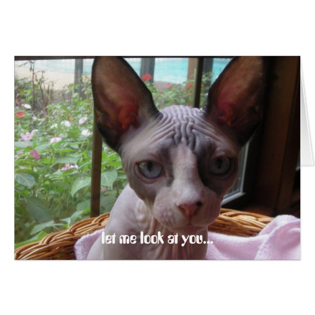 Kijk naar jou (Voorkant Horizontaal)