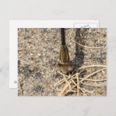 Kijk naar jou briefkaart (Voorkant / Achterkant)