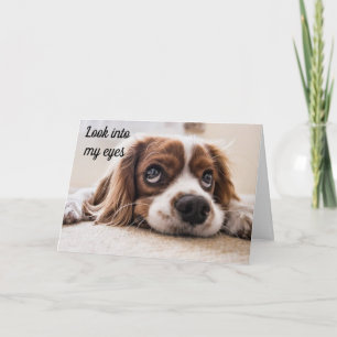 *KIJK NAAR MIJN OGEN* BIRTHDAY WIL NAAR "U" KAART