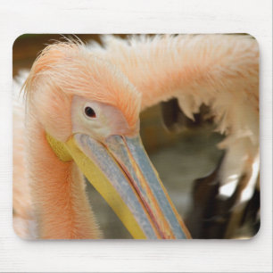 Kijk naar Pelican Mousepad Muismat
