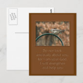 kijk niet ongerust over je vogel op de boog briefkaart (Voorkant / Achterkant)