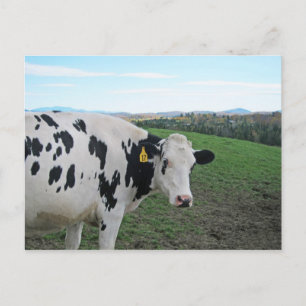 Kijk niet terug briefkaart