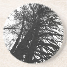 Kijk omhoog in de bomen