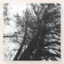 Kijk op in de bomen glazen onderzetter