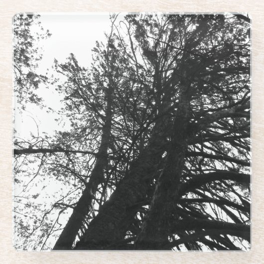 Kijk op in de bomen glazen onderzetter (Voorkant)