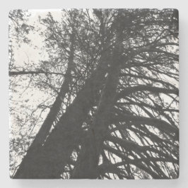 Kijk op in de bomen stenen onderzetter