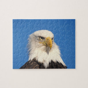 Kijk op Steenarend Legpuzzel
