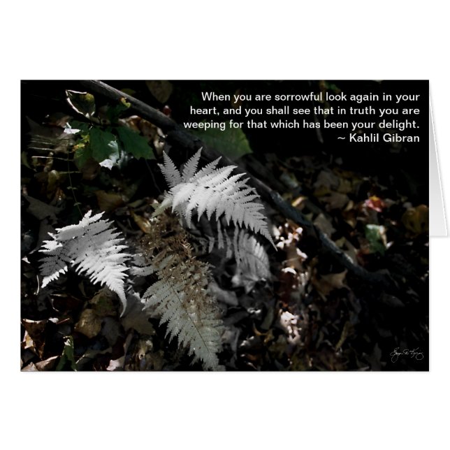 Kijk opnieuw in je hart (Voorkant Horizontaal)