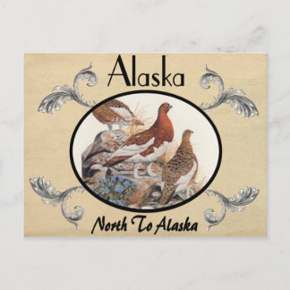  kijk Oude Briefkaart Alaska Staat