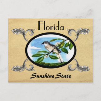 kijk Oude Briefkaart staat Florida
