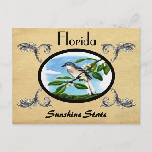  kijk Oude Briefkaart staat Florida (Voorkant)