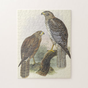  kijk, twee vogels puzzel legpuzzel