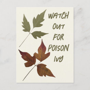 Kijk uit voor Poison Ivy Wandelen Veiligheid Voor Briefkaart