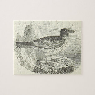  kijk, vogel staat op een Rock Puzzle Legpuzzel