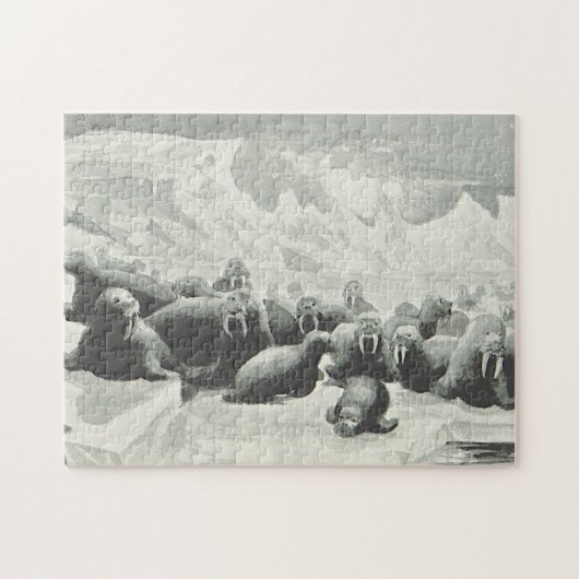 Kijk Walrus Herd Puzzle Legpuzzel (Horizontaal)