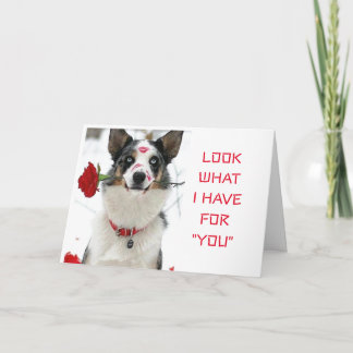 KIJK WAT "IK HEB VOOR U" SPECIALE DAG OF NACHT KAART