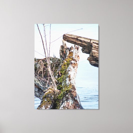 Kijkdoos Canvas Afdruk (Voorkant)