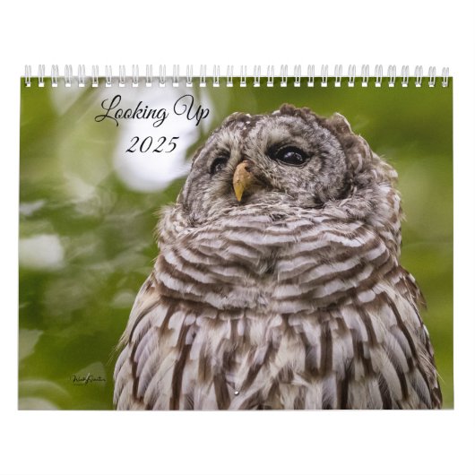 Kijken 2025 Kalender (Hoes)