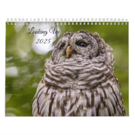 Kijken 2025 Kalender