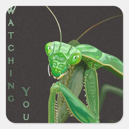 Kijken - Groene versie Vierkante Sticker (Voorkant)