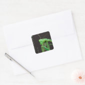Kijken - Groene versie Vierkante Sticker (Envelop)