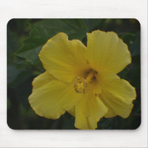 Kijken in een gele bloem Mousepad Muismat