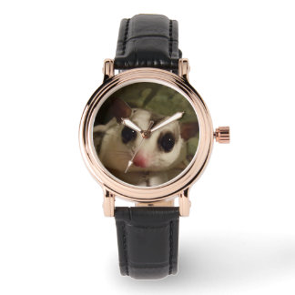 Kijken met suikerzweefvliegtuig horloge