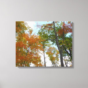 Kijken naar vallende bladeren I Kleurrijk herfstbl Canvas Afdruk