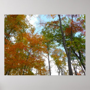 Kijken naar vallende bladeren I Kleurrijk herfstbl Poster