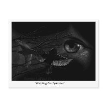 Kijken over Sparrows Postcrossing Briefkaart