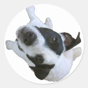 Kijken Ronde Sticker